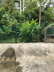 Tai Peng Gardens (D19), Semi-Detached #169583582